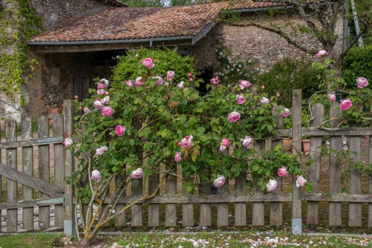 Chambres D'Hotes La Pocterie Vouneuil-sur-Vienne ภายนอก รูปภาพ