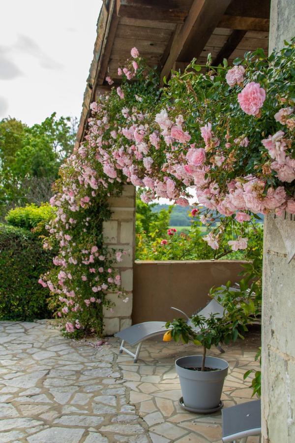 Chambres D'Hotes La Pocterie Vouneuil-sur-Vienne ภายนอก รูปภาพ