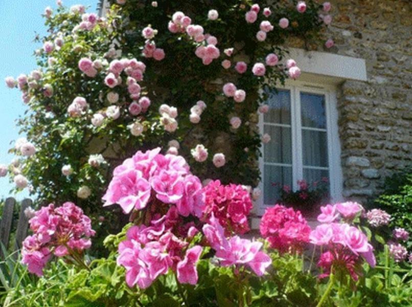 Chambres D'Hotes La Pocterie Vouneuil-sur-Vienne ภายนอก รูปภาพ